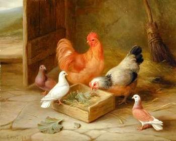 unknow artist poultry  141 Germany oil painting art